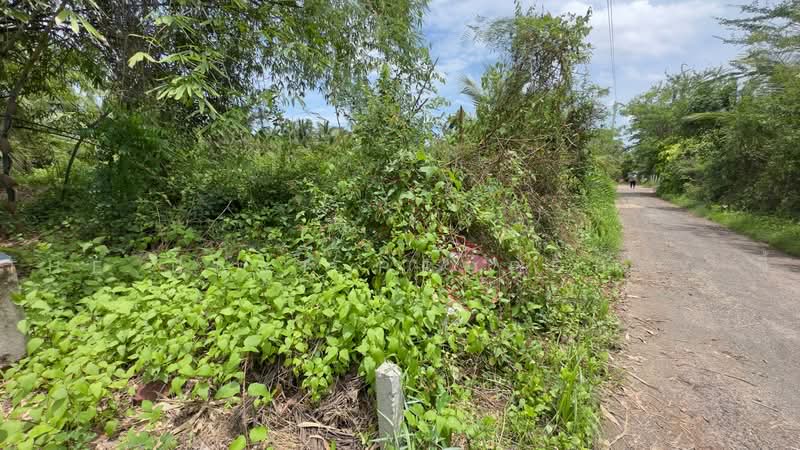 ที่ดินลาดใหญ่ สมุทรสงคราม, Samut Songkhram, Lat Yai, Muang Samut Songkhram, Samut Songkhram, , 1,112 sqm, Land For Sale, by The Best Property จี้, 500475528 - DDproperty.com