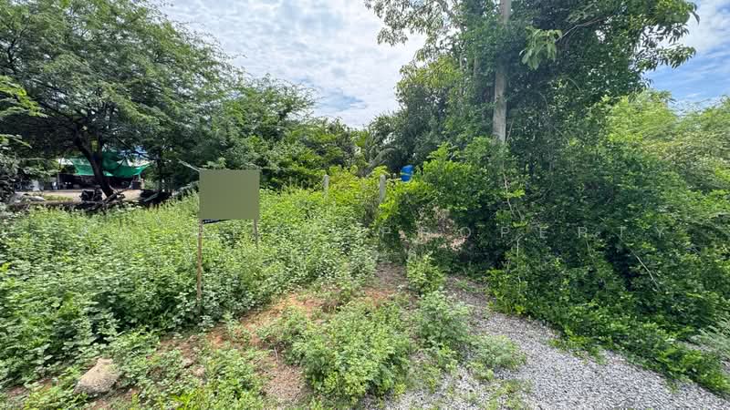 ที่ดินชะอำ เพชรบุรี, Phetchaburi, Bang Kao, Cha-Am, Phetchaburi, , 204 sqm, Land For Sale, by The Best Property ณรงค์, 500475580 - DDproperty.com