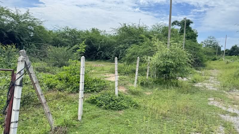 ที่ดินชะอำ เพชรบุรี, Phetchaburi, Bang Kao, Cha-Am, Phetchaburi, , 204 sqm, Land For Sale, by The Best Property ณรงค์, 500475580 - DDproperty.com
