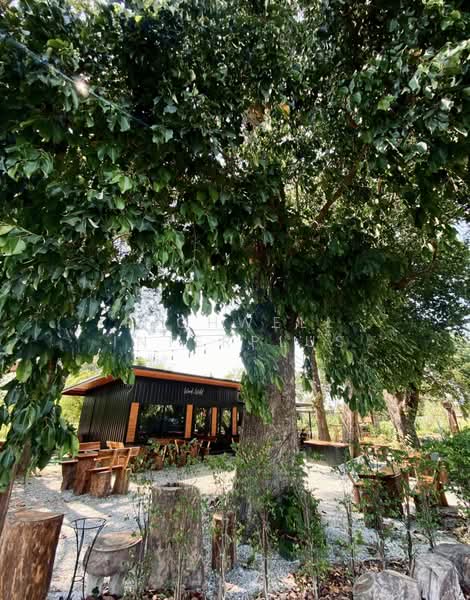 Land for sale in the heart of Laem Chabang, almost 2 rai, with existing buildings, Chon Buri (Pattaya), Thung Suk La, Si Racha, Chon Buri (Pattaya), , 3,160 sqm, Land For Sale, by RICHWELL INTERPLUS, 500475602 - DDproperty.com