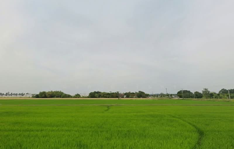 ขายที่ดินลำลูกกา เนื้อที่ 1 ไร่ 0 งาน 22.9 ตร.ว. ใกล้มหาวิทยาลัยอีสเทิร์นเอเชีย, Pathum Thani, Bung Kham Proi, Lam Luk Ka, Pathum Thani, , 1,688 sqm, Land For Sale, by อนันต์ อัมรินทร์, 500475731 - DDproperty.com