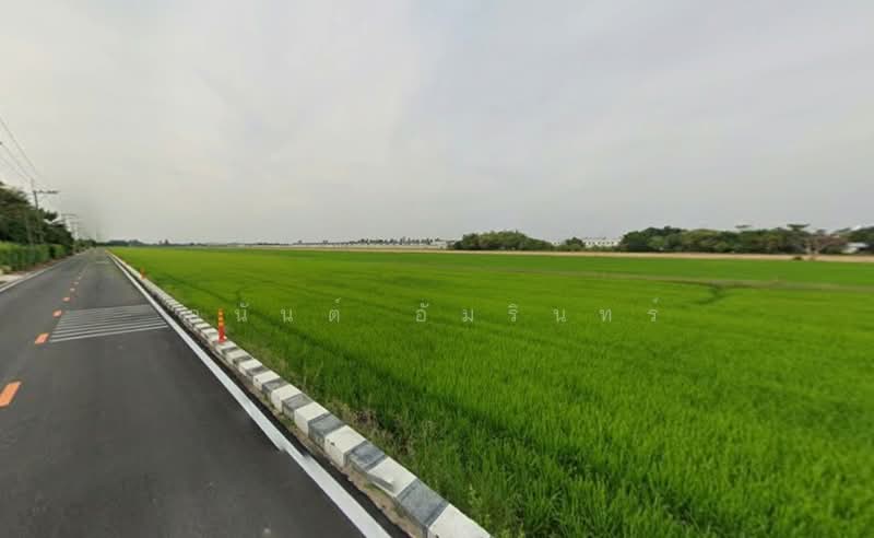 ขายที่ดินลำลูกกา เนื้อที่ 1 ไร่ 0 งาน 22.9 ตร.ว. ใกล้มหาวิทยาลัยอีสเทิร์นเอเชีย, Pathum Thani, Bung Kham Proi, Lam Luk Ka, Pathum Thani, , 1,688 sqm, Land For Sale, by อนันต์ อัมรินทร์, 500475731 - DDproperty.com