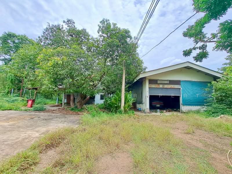 ที่ดินพร้อมสิ่งปลูกสร้างเสือโฮก ชัยนาท, Chai Nat, Sua Hok, Muang Chai Nat, Chai Nat, , 7,044 sqm, Land For Sale, by The Best Property ต้นอ้อ, 500475799 - DDproperty.com