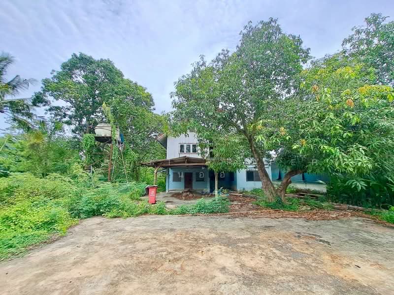 ที่ดินพร้อมสิ่งปลูกสร้างเสือโฮก ชัยนาท, Chai Nat, Sua Hok, Muang Chai Nat, Chai Nat, , 7,044 sqm, Land For Sale, by The Best Property ต้นอ้อ, 500475799 - DDproperty.com