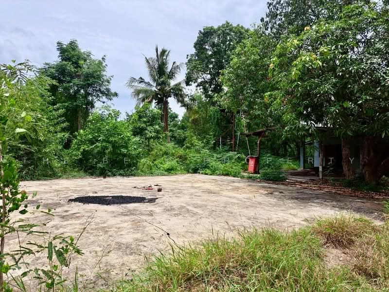 ที่ดินพร้อมสิ่งปลูกสร้างเสือโฮก ชัยนาท, Chai Nat, Sua Hok, Muang Chai Nat, Chai Nat, , 7,044 sqm, Land For Sale, by The Best Property ต้นอ้อ, 500475799 - DDproperty.com