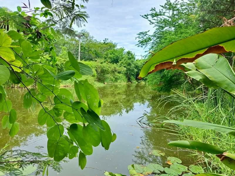 ที่ดินพร้อมสิ่งปลูกสร้างเสือโฮก ชัยนาท, Chai Nat, Sua Hok, Muang Chai Nat, Chai Nat, , 7,044 sqm, Land For Sale, by The Best Property ต้นอ้อ, 500475799 - DDproperty.com