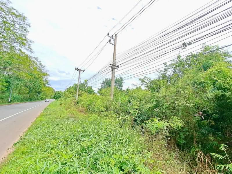 ที่ดินพร้อมสิ่งปลูกสร้างเสือโฮก ชัยนาท, Chai Nat, Sua Hok, Muang Chai Nat, Chai Nat, , 7,044 sqm, Land For Sale, by The Best Property ต้นอ้อ, 500475799 - DDproperty.com