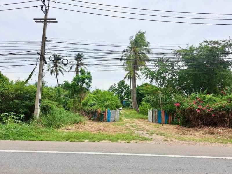 ที่ดินพร้อมสิ่งปลูกสร้างเสือโฮก ชัยนาท, Chai Nat, Sua Hok, Muang Chai Nat, Chai Nat, , 7,044 sqm, Land For Sale, by The Best Property ต้นอ้อ, 500475799 - DDproperty.com