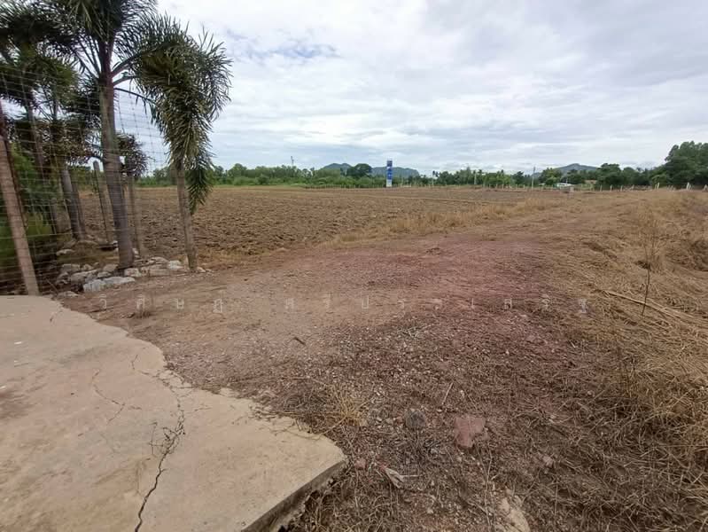 บ้านหนองไร่ หมู่ที่ 1, Ratchaburi, Thung Luang, Pak Tho, Ratchaburi, , 27,620 sqm, Land For Sale, by WISIT SRIPRASERT, 500475822 - DDproperty.com