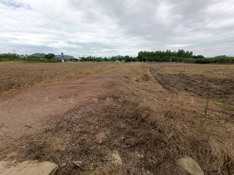 บ้านหนองไร่ หมู่ที่ 1, Ratchaburi, Thung Luang, Pak Tho, Ratchaburi, , 27,620 sqm, Land For Sale, by WISIT SRIPRASERT, 500475822 - DDproperty.com