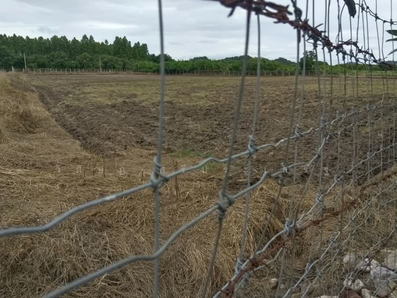 บ้านหนองไร่ หมู่ที่ 1, ราชบุรี, ทุ่งหลวง, ปากท่อ, ราชบุรี, 27,620 ตร.ม., ที่ดิน ขาย, โดย วิศิษฏ์ ศรีประเสริฐ, 500475822 - DDproperty.com