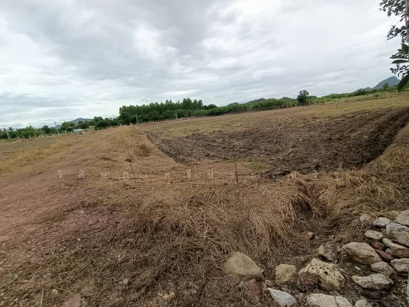บ้านหนองไร่ หมู่ที่ 1, Ratchaburi, Thung Luang, Pak Tho, Ratchaburi, , 27,620 sqm, Land For Sale, by WISIT SRIPRASERT, 500475822 - DDproperty.com