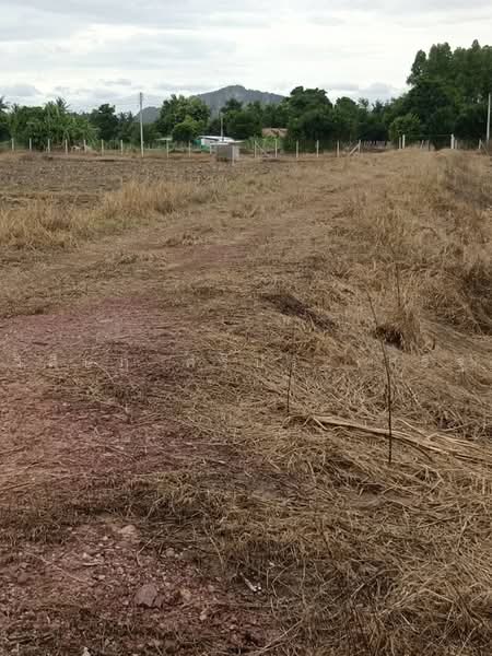 บ้านหนองไร่ หมู่ที่ 1, ราชบุรี, ทุ่งหลวง, ปากท่อ, ราชบุรี, 27,620 ตร.ม., ที่ดิน ขาย, โดย วิศิษฏ์ ศรีประเสริฐ, 500475822 - DDproperty.com