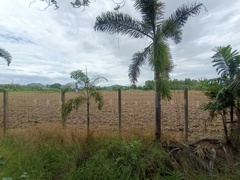 บ้านหนองไร่ หมู่ที่ 1, Ratchaburi, Thung Luang, Pak Tho, Ratchaburi, , 27,620 sqm, Land For Sale, by WISIT SRIPRASERT, 500475822 - DDproperty.com