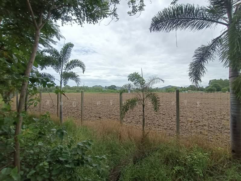 บ้านหนองไร่ หมู่ที่ 1, Ratchaburi, Thung Luang, Pak Tho, Ratchaburi, , 27,620 sqm, Land For Sale, by WISIT SRIPRASERT, 500475822 - DDproperty.com