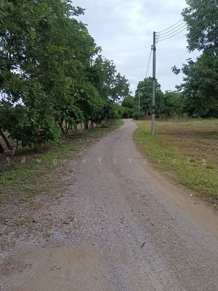 บ้านหนองไร่ หมู่ที่ 1, Ratchaburi, Thung Luang, Pak Tho, Ratchaburi, , 27,620 sqm, Land For Sale, by WISIT SRIPRASERT, 500475822 - DDproperty.com