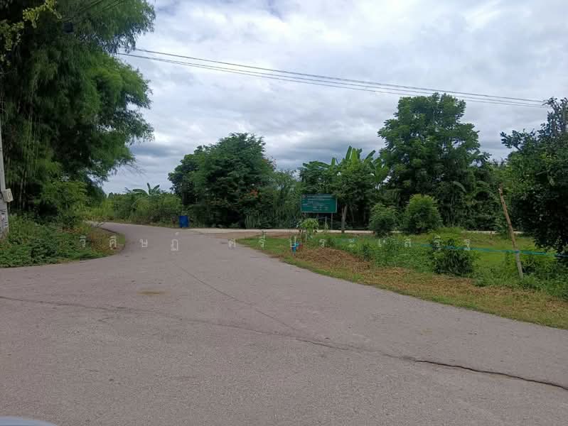 บ้านหนองไร่ หมู่ที่ 1, Ratchaburi, Thung Luang, Pak Tho, Ratchaburi, , 27,620 sqm, Land For Sale, by WISIT SRIPRASERT, 500475822 - DDproperty.com