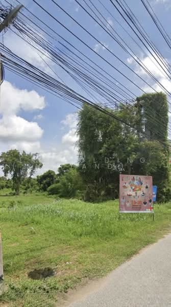 ติดถนนมิตรภาพ ทล.2 หน้าติดถนนมิตรภาพเต็มผืน, นครราชสีมา, บ้านใหม่, เมืองนครราชสีมา, นครราชสีมา, 22,856 ตร.ม., ที่ดิน ขาย, โดย ERA Holding (Thailand) Co., Ltd., 500475833 - DDproperty.com