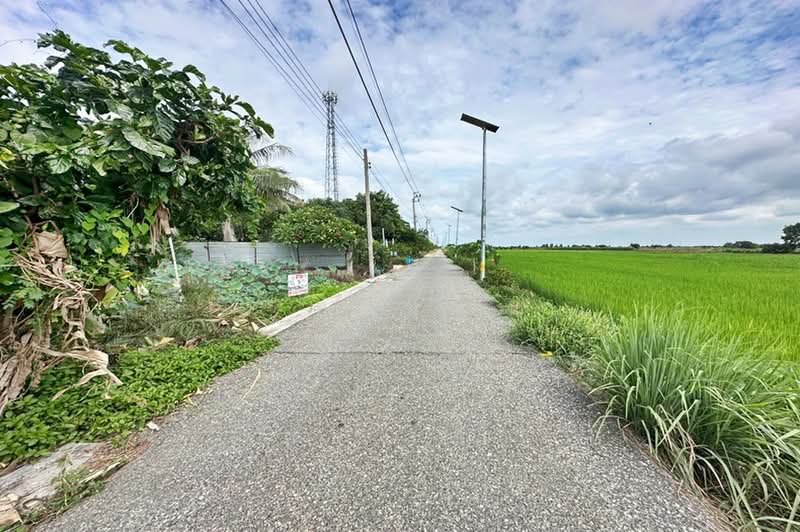 ตำบลเปร็ง อำเภอบางบ่อ สมุทรปราการ, Samut Prakan, ถนนเทพราช-ลาดกระบัง, Preng, Bang Bo, Samut Prakan, , 384 sqm, Land For Sale, by คุณนา, 500475916 - DDproperty.com