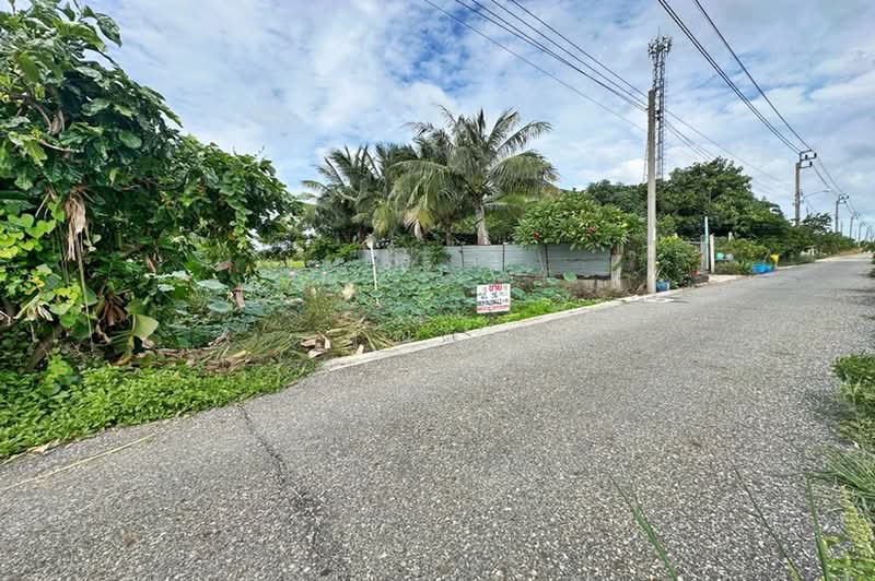 ตำบลเปร็ง อำเภอบางบ่อ สมุทรปราการ, Samut Prakan, ถนนเทพราช-ลาดกระบัง, Preng, Bang Bo, Samut Prakan, , 384 sqm, Land For Sale, by คุณนา, 500475916 - DDproperty.com