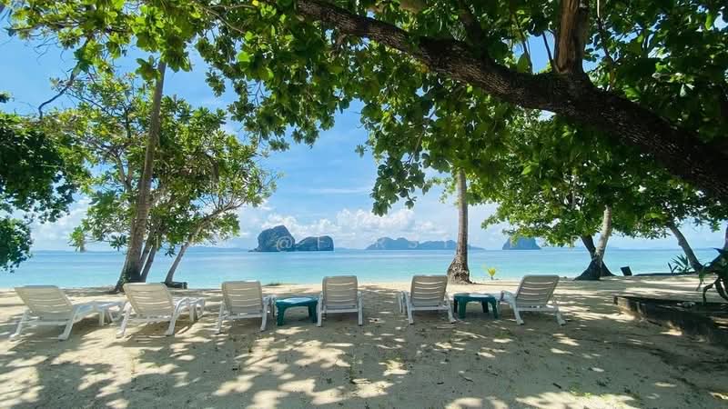 ที่ดินและรีสอร์ทริมทะเล ติดหาดระดับลักชัวรี เกาะไหง จังหวัดกระบี่ | ทำเลท่องเที่ยวชั้นนำ, กระบี่, เกาะลันตาใหญ่, เกาะลันตา, กระบี่, 43,452 ตร.ม., ที่ดิน ขาย, โดย LINE @firststep, 500476013 - DDproperty.com