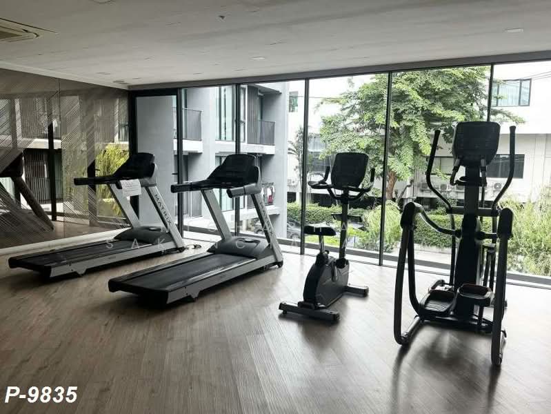 Serio Sukhumvit 50 : เซอริโอ้ สุขุมวิท 50, กรุงเทพ, ซอยสุขุมวิท 50, พระโขนง, คลองเตย, กรุงเทพ, 32 ตร.ม., คอนโด ให้เช่า, โดย Nichaphat Sakunchayapha, 500476023 - DDproperty.com
