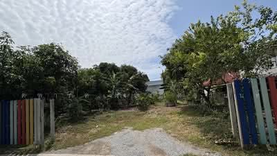 ขาย - ขาย/เช่า ที่ดินเปล่า 119 ตร.ว. บางกร่าง นนทบุรี, นนทบุรี