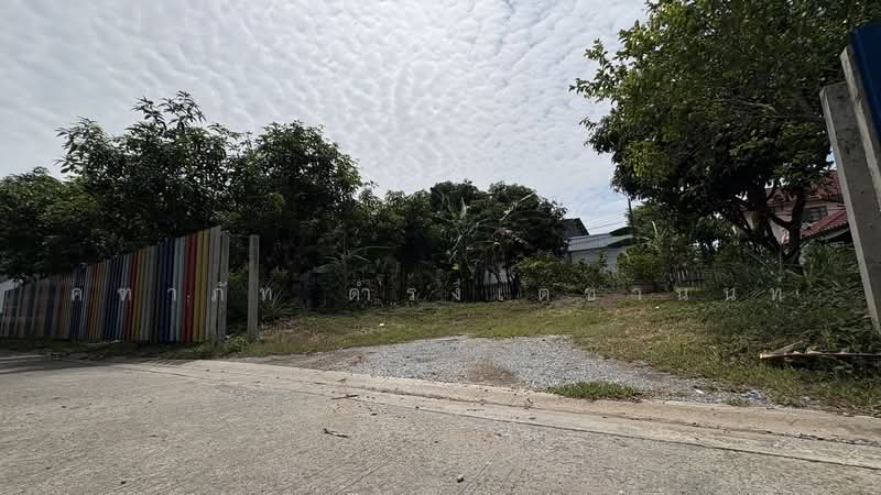 ขาย/เช่า ที่ดินเปล่า 119 ตร.ว. บางกร่าง นนทบุรี, Nonthaburi, Bang Krang, Muang Nonthaburi, Nonthaburi, , 240 sqm, Land For Sale, by คฑาภัท ดำรงเตชานนท์, 500476042 - DDproperty.com