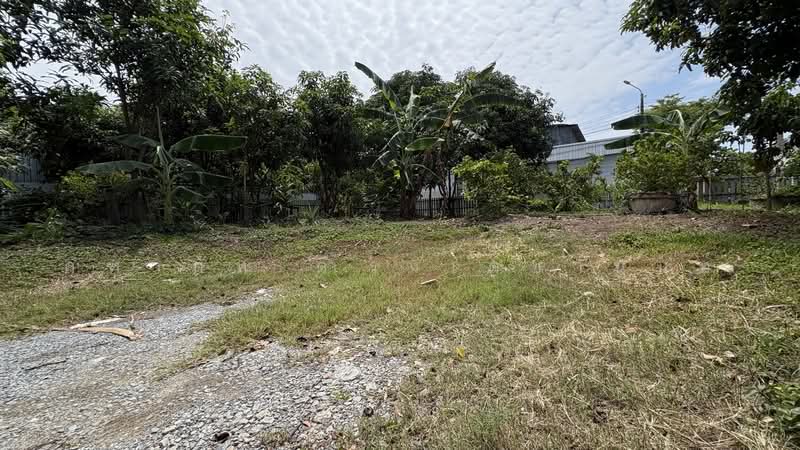 ขาย/เช่า ที่ดินเปล่า 119 ตร.ว. บางกร่าง นนทบุรี, Nonthaburi, Bang Krang, Muang Nonthaburi, Nonthaburi, , 240 sqm, Land For Sale, by คฑาภัท ดำรงเตชานนท์, 500476042 - DDproperty.com