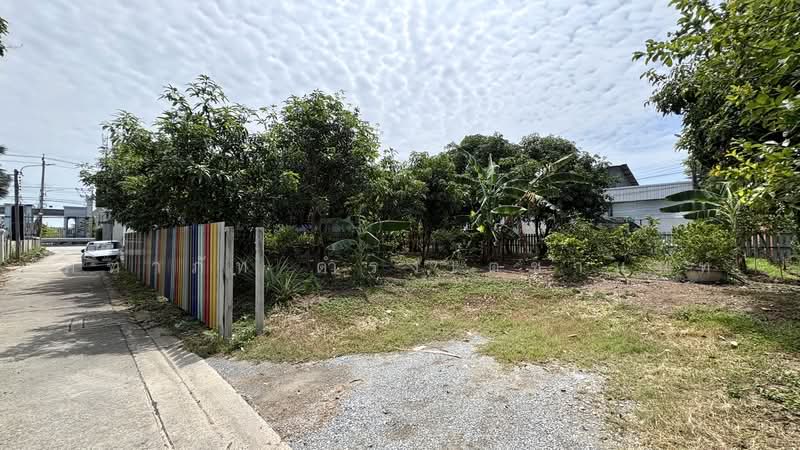 ขาย/เช่า ที่ดินเปล่า 119 ตร.ว. บางกร่าง นนทบุรี, นนทบุรี, บางกร่าง, เมืองนนทบุรี, นนทบุรี, 240 ตร.ม., ที่ดิน ขาย, โดย คฑาภัท ดำรงเตชานนท์, 500476042 - DDproperty.com