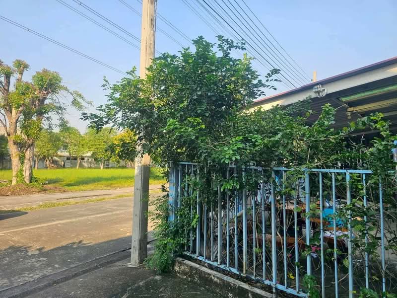 Baan Pruksa 61 Phetkasem 63, Bangkok, Petchkasem Road, Bang Kae Nua, Bang Khae, Bangkok, 3 Bedrooms, 120 sqm, Townhouse For Sale, by The Best Property แอ๋ว, 500476051 - DDproperty.com