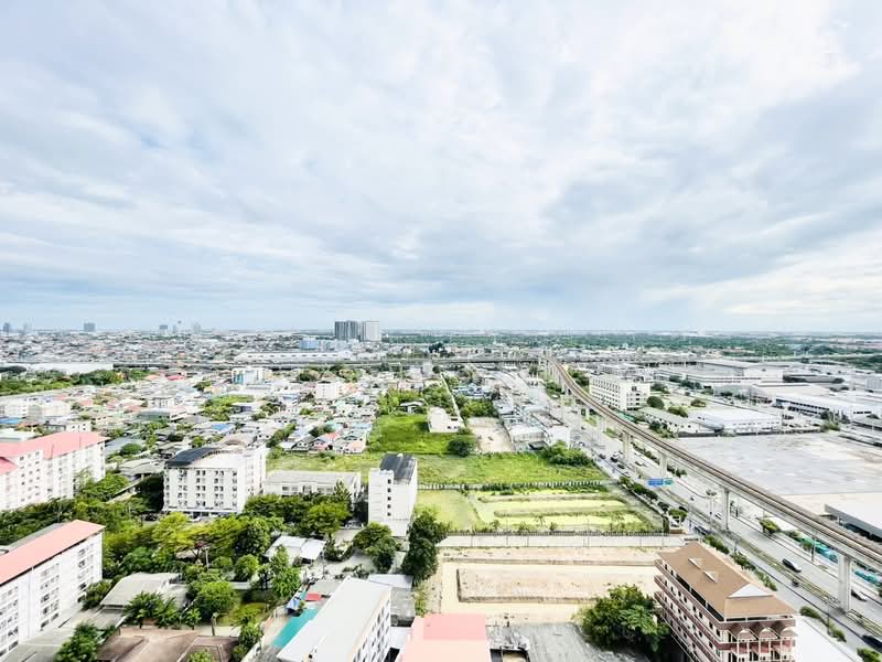 Supalai Veranda Sukhumvit 117, Samut Prakan, Sukhumvit 117, Bang Muang Mai, Muang Samut Prakarn, Samut Prakan, Studio, 29 sqm, Condo For Rent, by CS Poon, 500476063 - DDproperty.com