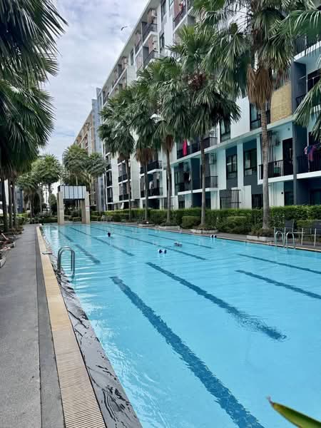 iCondo Sukhumvit 105, Bangkok, 20 Soi Lasalle 19,  Sukhumvit 105 Road, Bang Na, Bangkok, 1 Bedroom, 31 sqm, Condo For Sale, by นันทิรา ภัทรเกษมกิจกุล, 500476089 - DDproperty.com