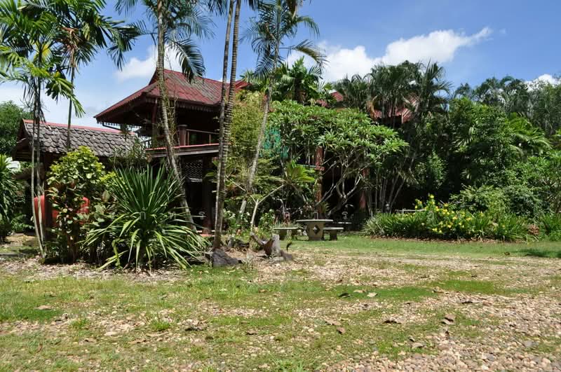64+ Rai Eco Retreat For Sale, Tha Uthen, Nakhon Phanom, Tha Uthen, Nakhon Phanom, , 103,872 sqm, Land For Sale, by วีรภัทรา ดาร์เปอร์, 500476106 - DDproperty.com