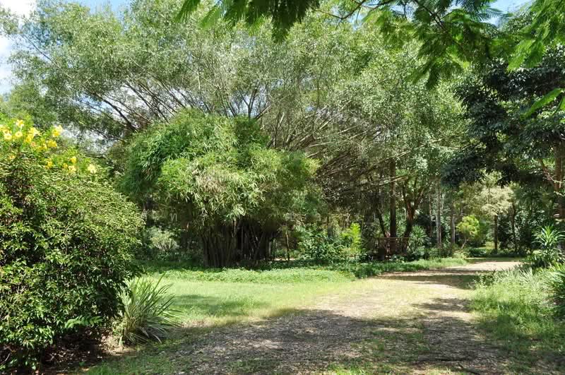 ขาย Eco Retreat 64+ ไร่ ท่าอุเทน นครพนม, นครพนม, ท่าอุเทน, นครพนม, 103,872 ตร.ม., ที่ดิน ขาย, โดย วีรภัทรา ดาร์เปอร์, 500476106 - DDproperty.com