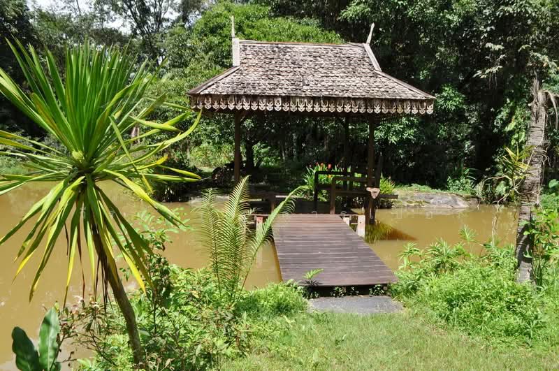 ขาย Eco Retreat 64+ ไร่ ท่าอุเทน นครพนม, นครพนม, ท่าอุเทน, นครพนม, 103,872 ตร.ม., ที่ดิน ขาย, โดย วีรภัทรา ดาร์เปอร์, 500476106 - DDproperty.com