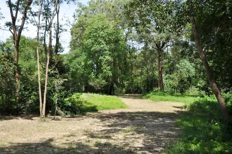 64+ Rai Eco Retreat For Sale, Tha Uthen, Nakhon Phanom, Tha Uthen, Nakhon Phanom, , 103,872 sqm, Land For Sale, by วีรภัทรา ดาร์เปอร์, 500476106 - DDproperty.com