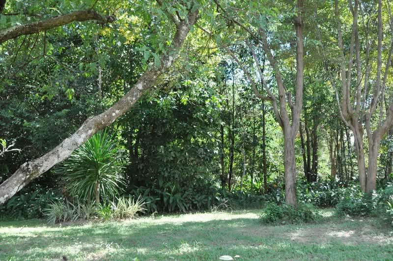 ขาย Eco Retreat 64+ ไร่ ท่าอุเทน นครพนม, นครพนม, ท่าอุเทน, นครพนม, 103,872 ตร.ม., ที่ดิน ขาย, โดย วีรภัทรา ดาร์เปอร์, 500476106 - DDproperty.com