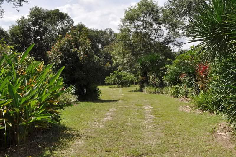 ขาย Eco Retreat 64+ ไร่ ท่าอุเทน นครพนม, นครพนม, ท่าอุเทน, นครพนม, 103,872 ตร.ม., ที่ดิน ขาย, โดย วีรภัทรา ดาร์เปอร์, 500476106 - DDproperty.com