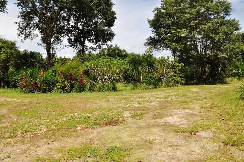 64+ Rai Eco Retreat For Sale, Tha Uthen, Nakhon Phanom, Tha Uthen, Nakhon Phanom, , 103,872 sqm, Land For Sale, by วีรภัทรา ดาร์เปอร์, 500476106 - DDproperty.com