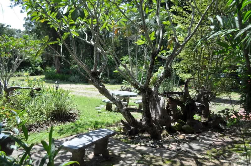 64+ Rai Eco Retreat For Sale, Tha Uthen, Nakhon Phanom, Tha Uthen, Nakhon Phanom, , 103,872 sqm, Land For Sale, by วีรภัทรา ดาร์เปอร์, 500476106 - DDproperty.com