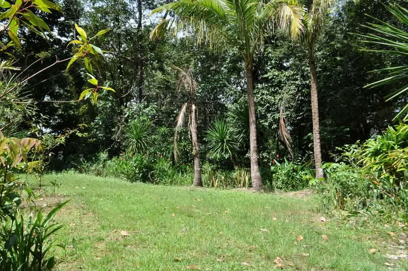 64+ Rai Eco Retreat For Sale, Tha Uthen, Nakhon Phanom, Tha Uthen, Nakhon Phanom, , 103,872 sqm, Land For Sale, by วีรภัทรา ดาร์เปอร์, 500476106 - DDproperty.com