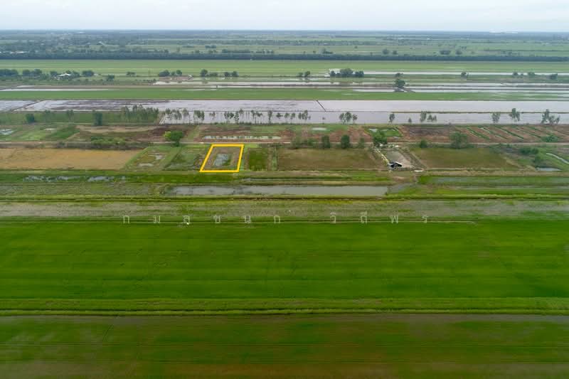 องครักษ์, Nakhon Nayok, Srisa Krabu, Ongkharak, Nakhon Nayok, , 800 sqm, Land For Sale, by กมลชนก วิถีพร, 500476180 - DDproperty.com
