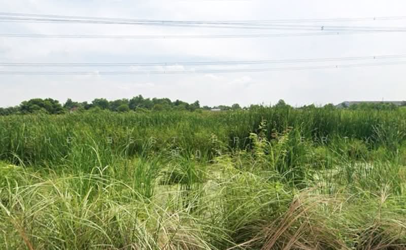 ที่ดินธัญบุรี ปทุมธานี, Pathum Thani, Bung Sanan, Thanyaburi, Pathum Thani, , 800 sqm, Land For Sale, by The Best Property ณัฏฐ์, 500476183 - DDproperty.com