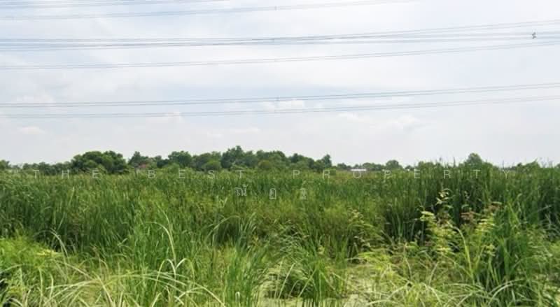 ที่ดินธัญบุรี ปทุมธานี, Pathum Thani, Bung Sanan, Thanyaburi, Pathum Thani, , 800 sqm, Land For Sale, by The Best Property ณัฏฐ์, 500476183 - DDproperty.com