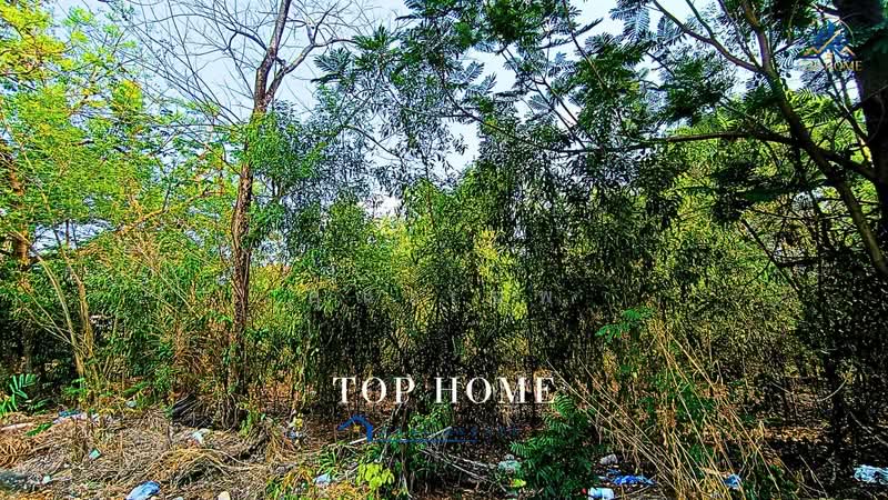 ขายด่วน ที่ดินเปล่า แปลงมุม เลคการ์เด้น คลอง 3 รังสิต**, Pathum Thani, Bang Yitho, Thanyaburi, Pathum Thani, , 560 sqm, Land For Sale, by คุณเเอพ, 500476202 - DDproperty.com