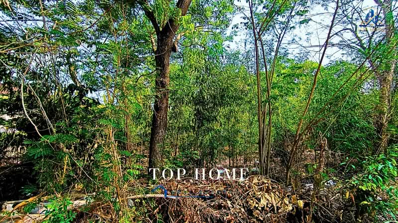 ขายด่วน ที่ดินเปล่า แปลงมุม เลคการ์เด้น คลอง 3 รังสิต**, Pathum Thani, Bang Yitho, Thanyaburi, Pathum Thani, , 560 sqm, Land For Sale, by คุณเเอพ, 500476202 - DDproperty.com