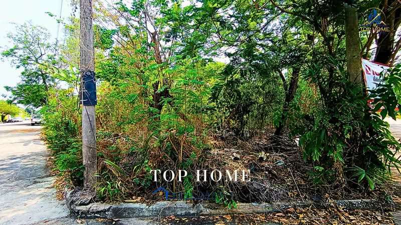 ขายด่วน ที่ดินเปล่า แปลงมุม เลคการ์เด้น คลอง 3 รังสิต**, Pathum Thani, Bang Yitho, Thanyaburi, Pathum Thani, , 560 sqm, Land For Sale, by คุณเเอพ, 500476202 - DDproperty.com