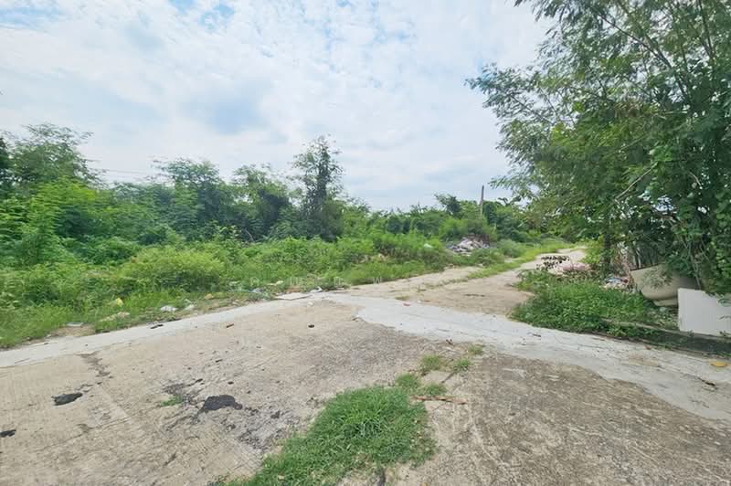 ซอยพระยาสุเรนทร์ 33, Bangkok, ถนนพระยาสุเรนทร์, Bang Chun, Khlong Sam Wa, Bangkok, , 344 sqm, Land For Sale, by คุณแพรว, 500476255 - DDproperty.com