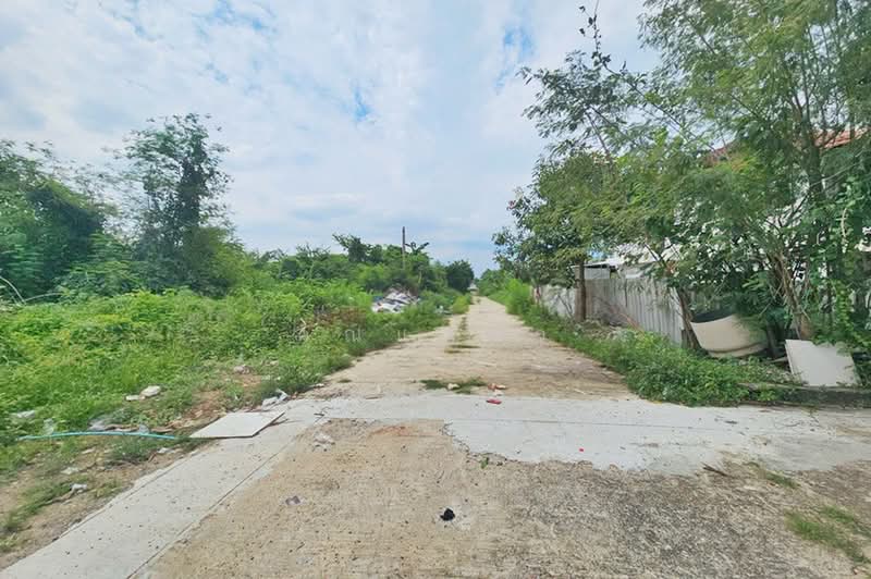 ซอยพระยาสุเรนทร์ 33, Bangkok, ถนนพระยาสุเรนทร์, Bang Chun, Khlong Sam Wa, Bangkok, , 344 sqm, Land For Sale, by คุณแพรว, 500476255 - DDproperty.com